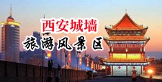 大胸黑丝美女免费操逼视频中国陕西-西安城墙旅游风景区